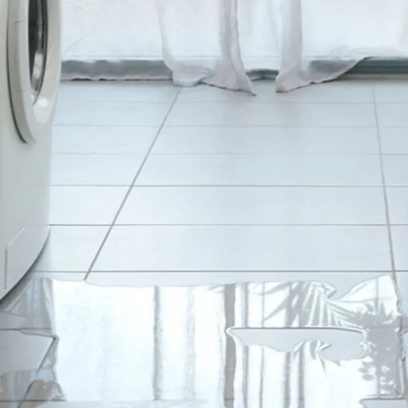 Appliance Leak Cleanup in Chillicothe, IL