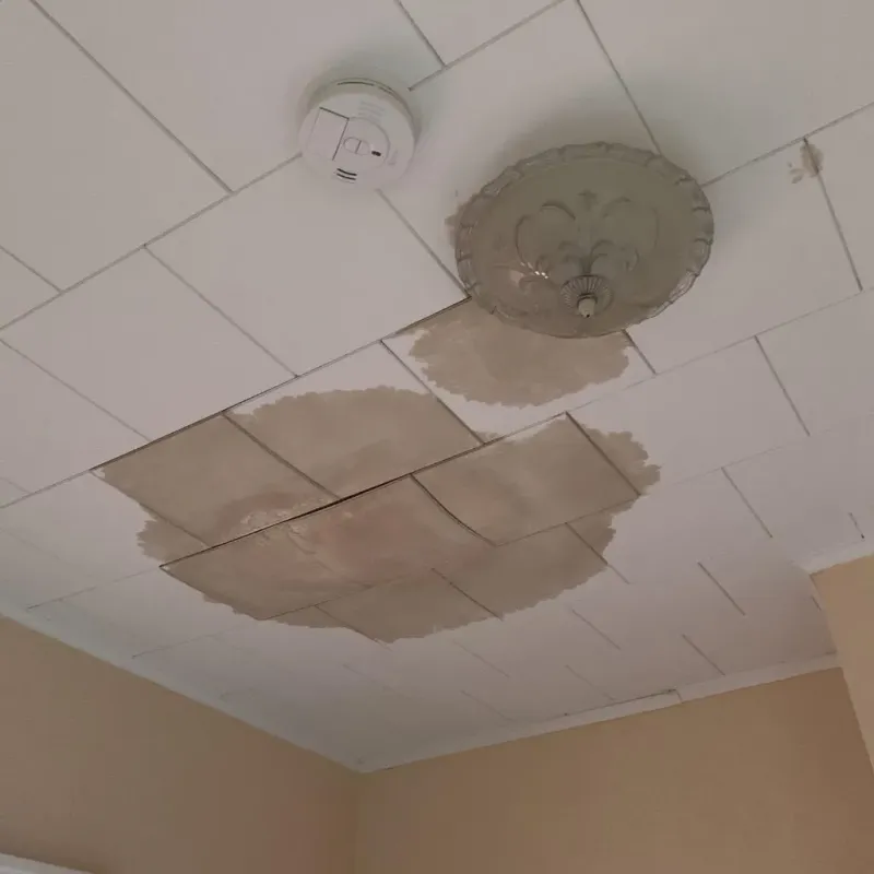 Ceiling Water Damage Repair in Chillicothe, IL