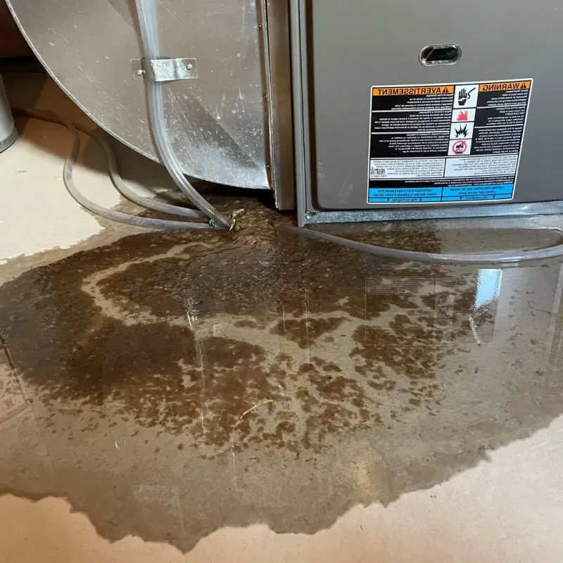 Pipe Burst and Leak Restoration in Chillicothe, IL