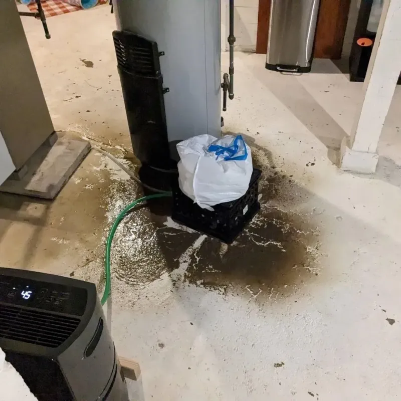 Sewage Backup Cleanup Service in Chillicothe, IL